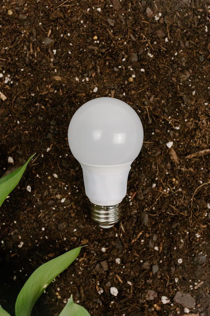 An LED light bulb rests on soil with green leaves in view. Sustainable energy concept.